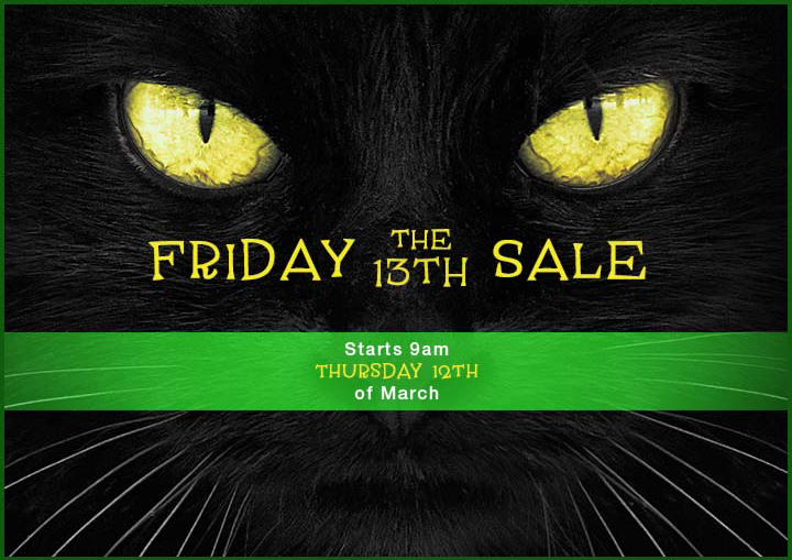 Friday the 13th Sale